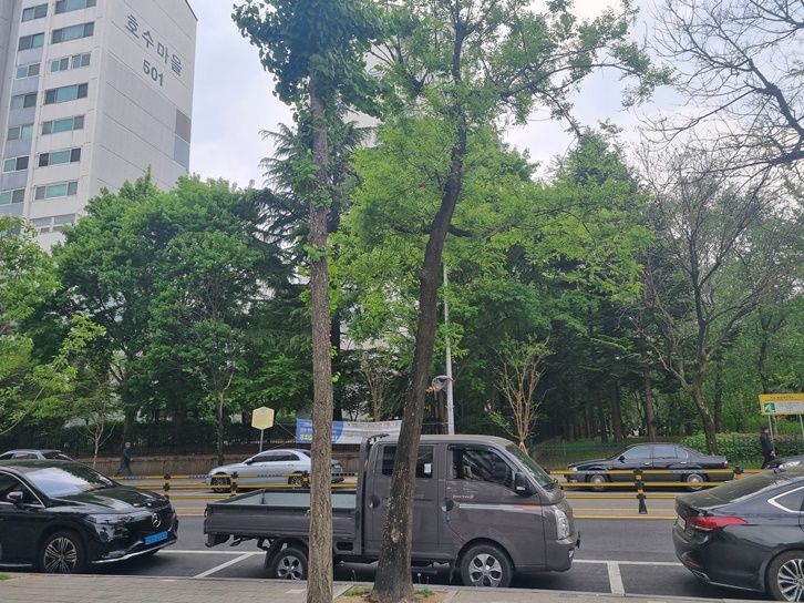 작명소 건물 앞 대로변